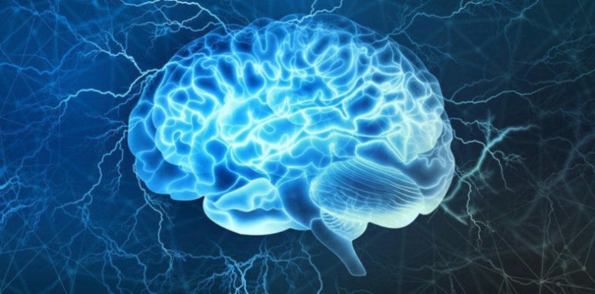 Как нейробиолог омолодил свой мозг - «Здоровье»