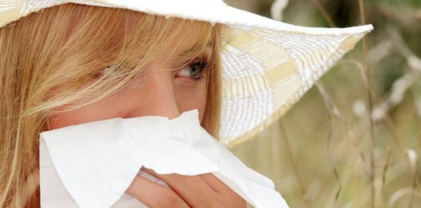 Аллергия в августе - «Здоровье»