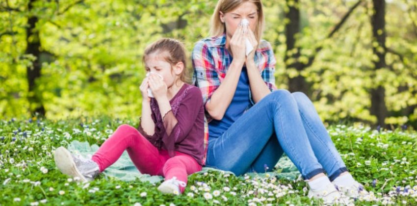Как дать отпор несносной аллергии? - «Здоровье»