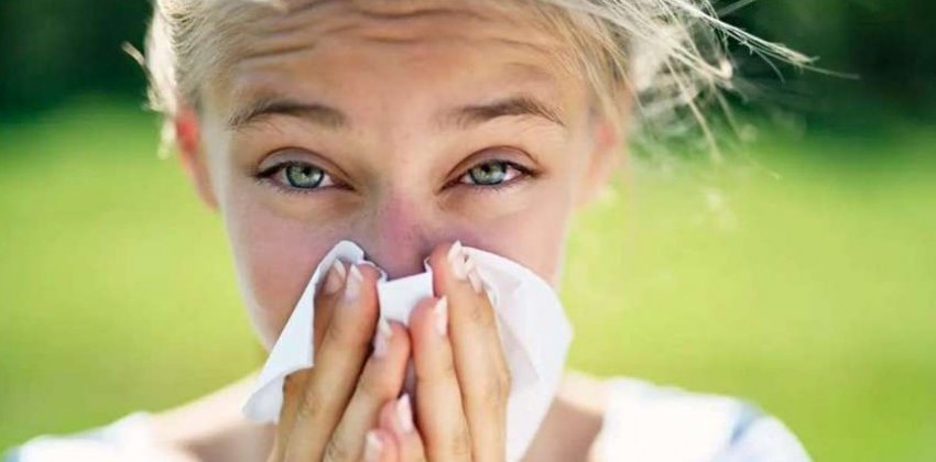 Какие продукты помогут облегчить аллергию - «Здоровье»