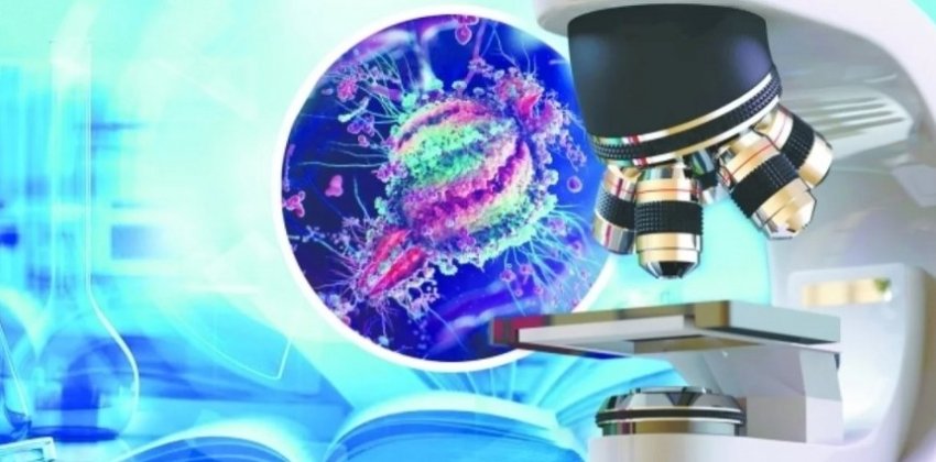 Бактерии, защищающие от ожирения - «Здоровье»