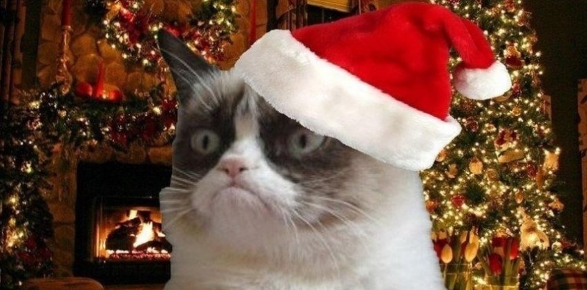 Если нет новогоднего настроения - «Стиль жизни»