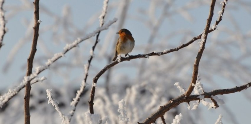 Время тишины - «Стиль жизни»