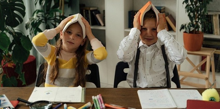 Как в России устроено заочное образование - Женский блог.