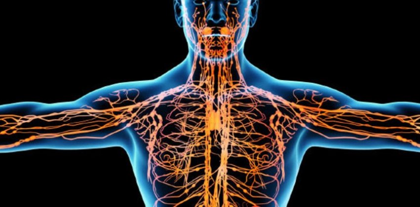 Как проверить состояние своего здоровья - «Здоровье»